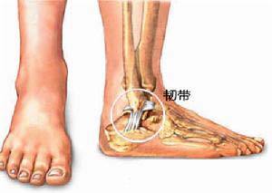 脚踝韧带 脚踝韧带